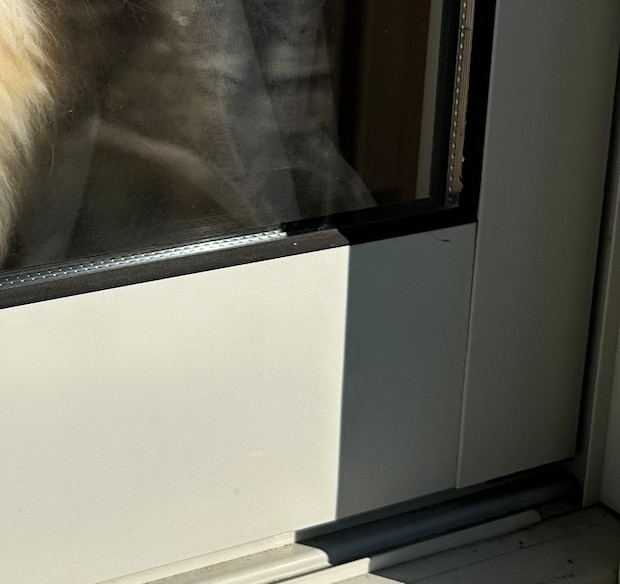 朝、パパが玄関から出てふと自宅に振り向くと……　即帰宅したくなった光景に 「あぁっ」「これは早退しちゃう」