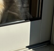 朝、パパが玄関から出てふと自宅に振り向くと……　即帰宅したくなった光景に 「あぁっ」「これは早退しちゃう」