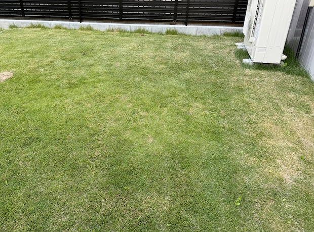 「怖すぎるんだけど」手入れされた庭の芝生、なぜか数分で土が盛り上がり…… 恐ろしい光景と原因が2680万表示「真実の口みたいな…」