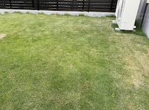 【画像】記事を読む