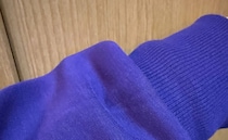 【画像】服に隠れていたヤモリ