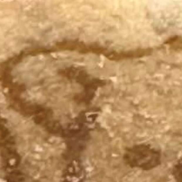 コアラのマーチを開けたら……　「おふざけがすぎるぜロッテ」　まさかの絵柄に「ゾクっときたw」「食べるの怖くなりそう」