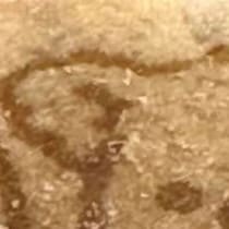 コアラのマーチを開けたら……　「おふざけがすぎるぜロッテ」　まさかの絵柄に「ゾクっときたw」「食べるの怖くなりそう」