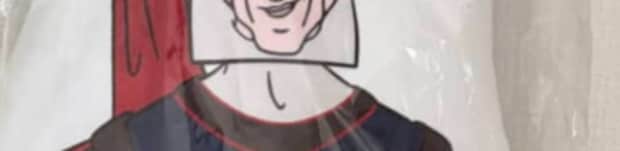 しまむらでディズニーの抱き枕を注文→ルンルン気分で取りに行くと…… まさかの光景に「この顔でチャイルドシートww」「ここは聖域だー!」