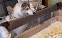 【画像】記事を読む