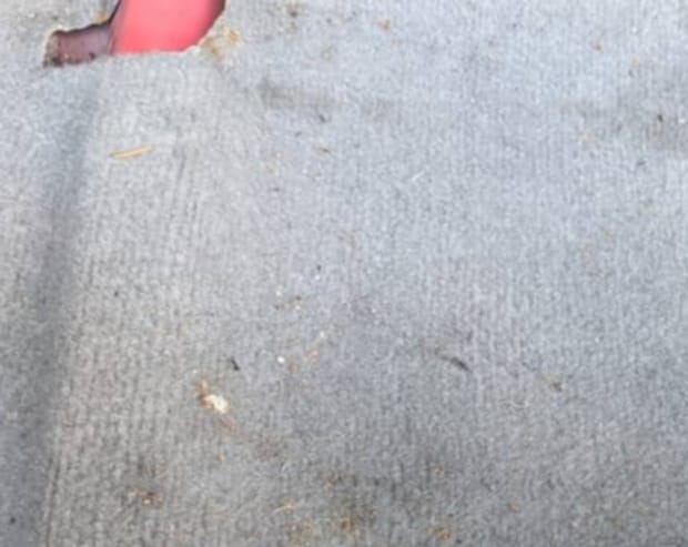 自動車の助手席を外してみると……　「すっごっ！」「怖すぎる」奇跡的に発見した”ヤバすぎる物”が500万表示