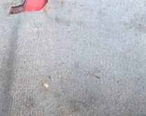 自動車の助手席を外してみると……　「すっごっ！」「怖すぎる」奇跡的に発見した”ヤバすぎる物”が500万表示