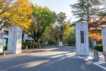 【画像：ランキング15位～1位を見る】