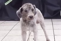 【画像】現在の姿