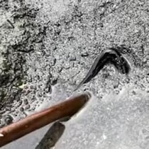 砂浜で黒光りする“何か”を発見→木の棒で掘ったら……　「やばっっ！」まさかの正体に「初めて見た」「夢あるなぁ」