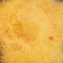 知人からもらった柿→食べようとして、中を切ったら……　「こりゃすごい」衝撃の断面に「やば！」「知らないと焦る」