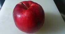 スーパーで買った真っ赤なリンゴ→中を割ると……　「わぁ」衝撃の中身に「こんなりんご初めて見た！」