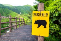 「買わねば安心できない」　“過去最悪”クマ被害で対策グッズに人気殺到……　Amazonでは「品切れ」、新商品投入も