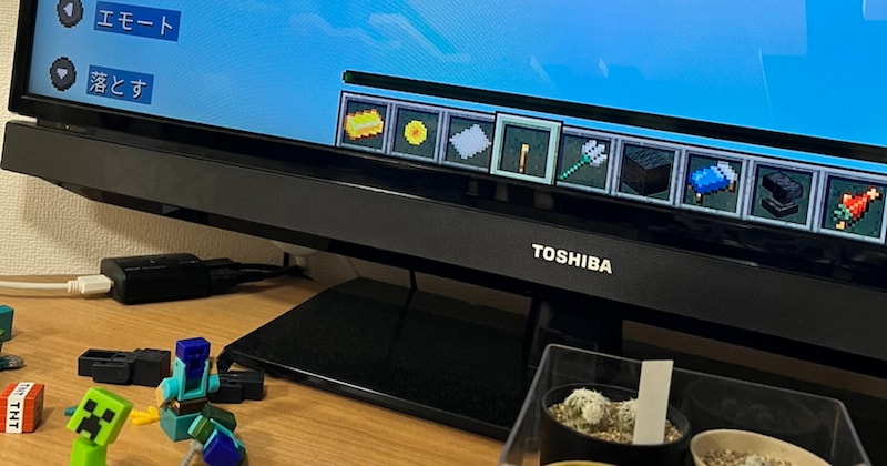 マイクラ中「空に！！」と息子が絶叫→見てみると……　「レア」800万表示の光景に「見られたの普通にすごい」