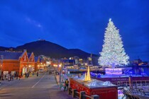 【画像：ランキング21位～1位を見る】