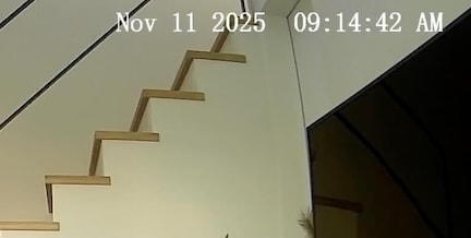 外出中、ペットカメラをのぞいてみたら……「なんで?笑」 目撃された“謎の状況”に「シュールやな」「バトルの予感」