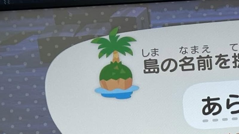Switch 2で「あつ森」を始めた妻→夫に「島名何がいい？」と聞くと……　抜群のセンスに「最高すぎw」「途中で変えれへんけど大丈夫ですか!!!笑」