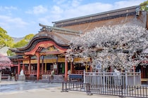 【30代以下が選ぶ】名前がかっこいい「福岡県の市町村」ランキングTOP26！　第1位は「太宰府市」【2025年最新調査結果】