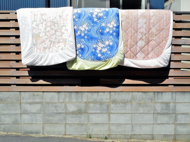 ムーミンを天日干し→うっかりシュールになってしまった光景が110万表示　「笑う」「日光浴嫌いなの草」