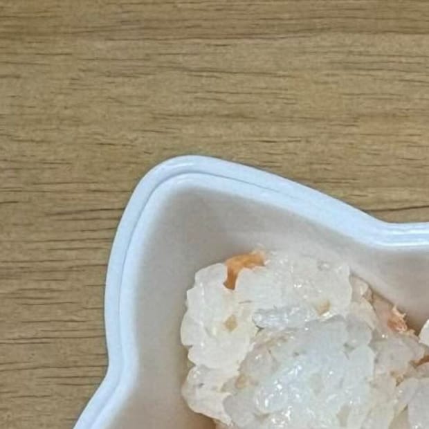 つわりと戦うママが「不器用でごめんね」と作ったお弁当→開けたら…… 「謝らないで!」「尊敬なんですが!」と97万表示