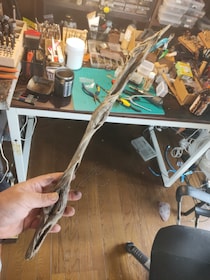 子どものロマンが詰まった、これ以上ないほど「いい感じの棒」が発見される　「魔力宿ってそう」と棒マイスターも絶賛