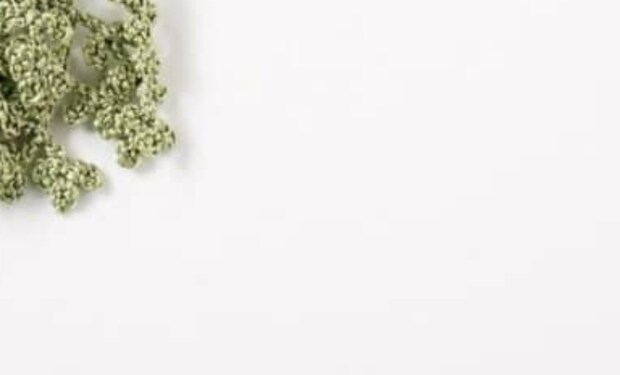 【編み物】絹糸で“意外なもののアクセサリー”を編むと……　繊細すぎる作品に反響「うひゃああかわいいっ」