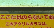 水族館の子ども向け注意書き→下を見ると……「オモローww」　恐ろしすぎる“まさかのアピール”が56万表示「生々しいw」「怖い怖い」