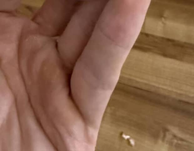 「昭和の俺も知らん」現代の子どもは知らない“謎のアイテム”が780万表示　「懐かしすぎる」「伝説の……」