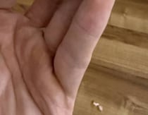 「昭和の俺も知らん」現代の子どもは知らない“謎のアイテム”が780万表示　「懐かしすぎる」「伝説の……」