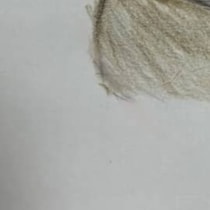 「プレバト」を観ていた年長の娘→おもむろに筆を握り、描いたのは……　「これは将来化けます」まさかの完成品に「才能アリ！」「5ランク昇格」