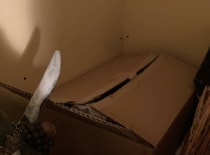 部屋の隅で見つけた“謎の段ボール”→開けたら……「ちょっと待って」「あーーー!!!」　圧巻の“中身”が96万表示