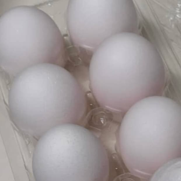 10個入りパック卵を買い、中を見たら……　「いただいていいです……か？」　1個だけ入っていた“異様な見た目の卵”に仰天「ホンモノなんですか!?」