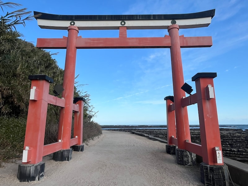 「別の惑星に来たみたい」　パワースポット・青島の“鬼の洗濯板”が圧巻　「どう見ても人工物」「一生に一度は見る価値あり」