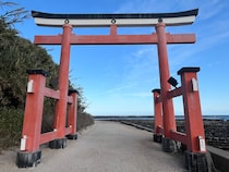 【画像】圧巻の“鬼の洗濯板”