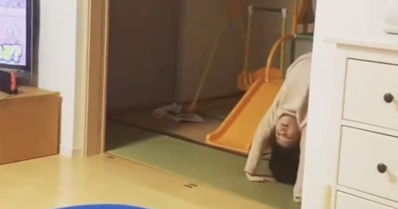 ブリッジで歩く女の子→後ろから現れたのは……「声出た」「そう来るとは」　“まさかの光景”に「にっこりですわwww」