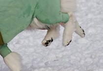 【画像】記事を読む