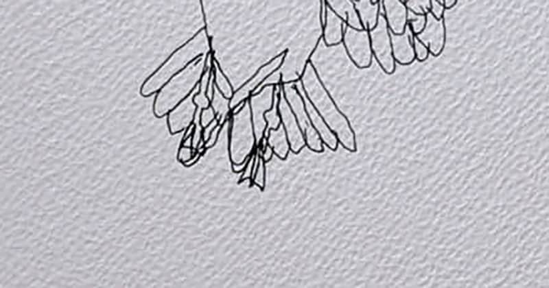 「8歳でこれはやべえ」　男の子が鳥の絵を描いたら……　センスが光る1枚に「将来が楽しみ」「これのTシャツほしい」