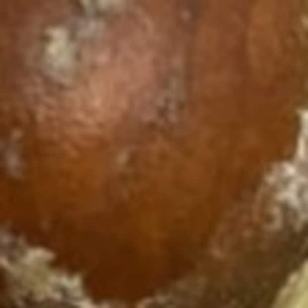 スーパーでアボカドを購入→次の日に切ってみたら……　「これ以上にハズレってある？」衝撃の中身に「ヤバすぎ」「トラウマレベル」