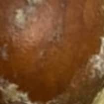 スーパーでアボカドを購入→次の日に切ってみたら……　「これ以上にハズレってある？」衝撃の中身に「ヤバすぎ」「トラウマレベル」