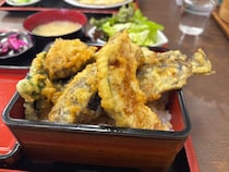 【画像】道の駅「山北」の魅力・動画あり