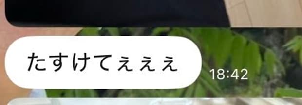 夫からのLINEをふと開くと……「たすけてぇぇぇ」　衝撃の姿が110万表示「果たして間に合うのか…」