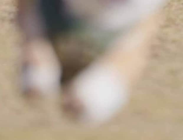 ドッグランの愛犬をふと見ると……「どゆことｗｗｗ」　232万表示の目を疑う光景に「情報量に溺れてまうｗ」「笑いが止まらんのやが」