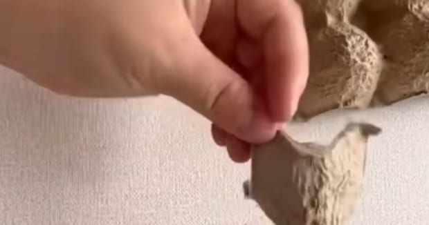 捨てるはずの卵のパッケージ、ハサミで切ってバケツと組み合わせると…… 「わぉ」まさかの完成品に「すばらしいアイデア」「これ大好き」【海外】