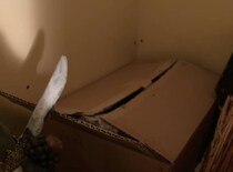 部屋の隅で見つけた“謎の段ボール”→開けたら……「ちょっと待って」「あーーー!!!」　圧巻の“中身”が96万表示