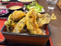 「今絶対に知ってほしい道の駅グルメ」　“不老天重”が12月にリニューアルオープンの神奈川県の道の駅「山北」でボリューム満点の衝撃！