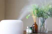 【主婦に聞いた】信頼している「加湿器のメーカー」ランキングTOP14！　第1位は「パナソニック」【2025年最新調査結果】