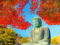 「味のレベルが違います」鎌倉駅近くで買えるお土産　「定期的に食べたくなる安心の味」「缶もかわいく満足です！」