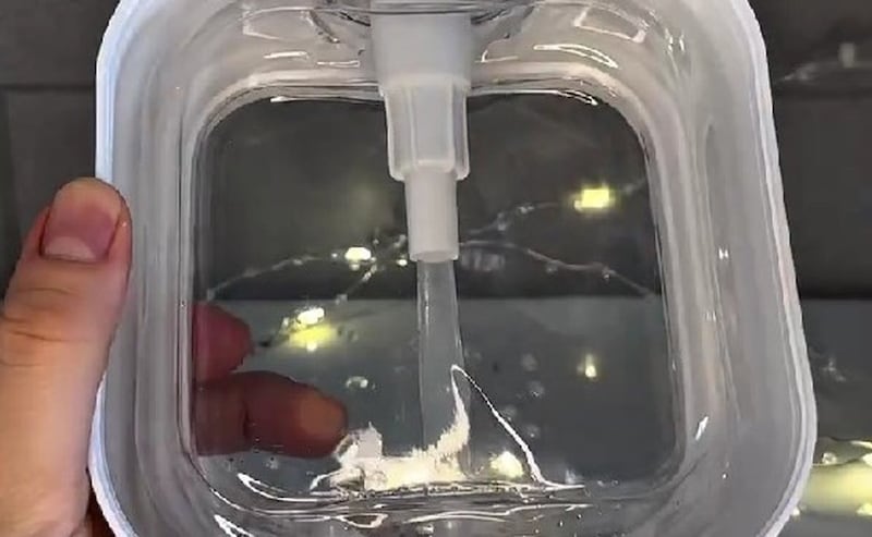 ハンドソープボトルの中を泳ぐのは…… 夢みたいな“光景”に「子どもの頃なら夢中になってたと思う」【海外】