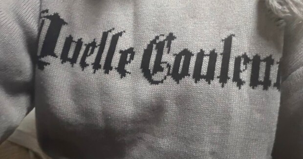 しまむらでかわいいと思って買った服、家で着てみたら…… 母の“とんでもないツッコミ”に爆笑「結構なパワーワード笑」「被弾しすぎw」