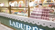 まだ間に合う！「語彙が無くなるうまさ」LADUREE（ラデュレ）の“1人用クリスマスケーキ”が超人気　「あと100個は食べたい」「大きめで食べごたえあり」東京駅でも買える